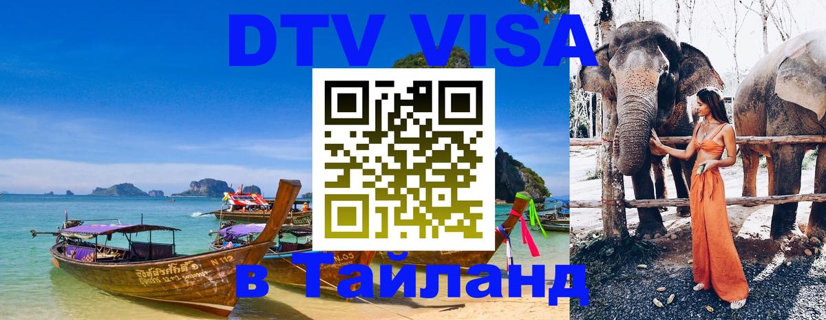 Оформление DTV визы под ключ: стоимость и тарифы, только загранпаспорт - 