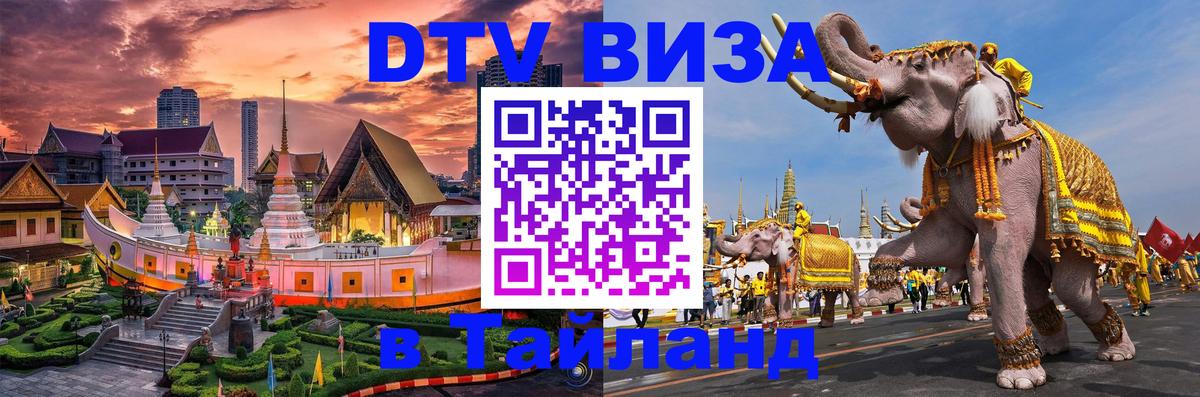 Оформление DTV визы под ключ: стоимость и тарифы, только загранпаспорт - Дзержинск 